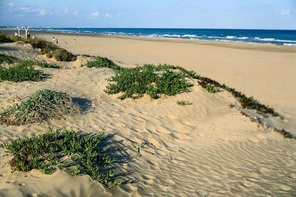 Apartamento En Playa Canet De Berenguer Canet d'En Berenguer Ngoại thất bức ảnh